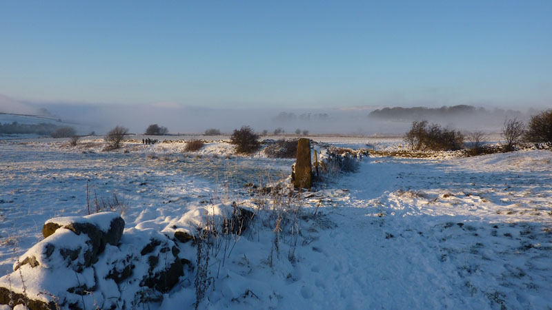 Snow and Fog